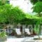 Atlantis Hotel_holidays_in_Hotel_Cyclades Islands_Paros_Naousa