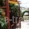 Lito Apartments Paleochora_best deals_Apartment_Crete_Chania_Palaeochora