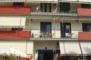 Edipsos Studios_accommodation_in_Hotel_Central Greece_Evia_Edipsos