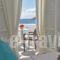 Amaryllis Beach Hotel_holidays_in_Hotel_Cyclades Islands_Paros_Paros Rest Areas