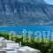 Pharae Palace_accommodation_in_Hotel_Thessaly_Magnesia_Pilio Area