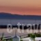 Pharae Palace_travel_packages_in_Thessaly_Magnesia_Pilio Area