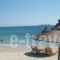 Glaronissi 1_holidays_in_Hotel_Cyclades Islands_Naxos_Naxos chora