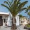 Old Vourvoulos Houses_accommodation_in_Hotel_Cyclades Islands_Sandorini_Sandorini Chora