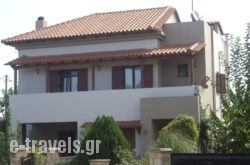 Villa Camellia_s __1