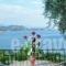 Hotel and Apartments_accommodation_in_Apartment_Epirus_Preveza_Parga