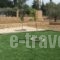 Villa Hermes_lowest prices_in_Villa_Peloponesse_Argolida_Kranidi