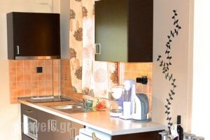 Lighthouse Apartments_best deals_Apartment_Thessaly_Magnesia_Pilio Area