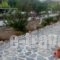 Mayflower 1_accommodation_in_Hotel_Dodekanessos Islands_Kos_Kos Rest Areas