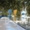 Diamantis Studios&Apartments_best deals_Apartment_Cyclades Islands_Naxos_Mikri Vigla