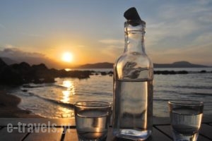 Kanakis Apartments_holidays_in_Apartment_Crete_Chania_Sfakia