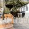 Sidra Hotel_best prices_in_Hotel_Piraeus islands - Trizonia_Hydra_Hydra Chora