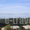 Archontiko Katerina_holidays_in_Hotel_Thessaly_Magnesia_Volos City