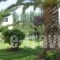 Oscar_accommodation_in_Hotel_Ionian Islands_Zakinthos_Agrilia