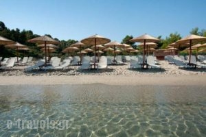 Kripis Studio Paliouri_travel_packages_in_Macedonia_Halkidiki_Kassandreia