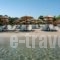 Kripis Studio Paliouri_travel_packages_in_Macedonia_Halkidiki_Kassandreia