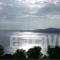 Kripis Studio Paliouri_accommodation_in_Hotel_Macedonia_Halkidiki_Kassandreia