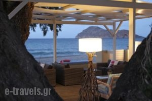 Effi Apartments_travel_packages_in_Crete_Chania_Platanias