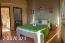 Villa Nikoleta_s __5