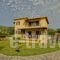 Villas Gregory_holidays_in_Villa_Ionian Islands_Lefkada_Sivota