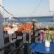 Hera's House_best deals_Hotel_Aegean Islands_Samos_Pythagorio