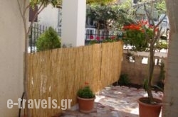 Venezian Castle House_s __1