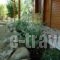 Ktirakia Studios_best prices_in_Hotel_Peloponesse_Lakonia_Gythio