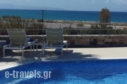 Dina Naxos Studios_s __1