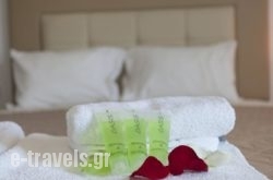 Oasis Pension_s __1