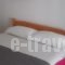 Dimitra Apartments_best deals_Apartment_Macedonia_Halkidiki_Haniotis - Chaniotis