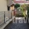 Edipsos Studios_best prices_in_Hotel_Central Greece_Evia_Edipsos