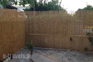 Edipsos Studios_holidays_in_Hotel_Central Greece_Evia_Edipsos