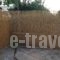 Edipsos Studios_holidays_in_Hotel_Central Greece_Evia_Edipsos