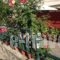Edipsos Studios_travel_packages_in_Central Greece_Evia_Edipsos