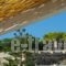 City Center Holiday Home_best prices_in_Hotel_Crete_Rethymnon_Rethymnon City