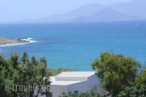 spitakia naxos_holidays_in_Hotel_Cyclades Islands_Paros_Piso Livadi