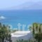 spitakia naxos_holidays_in_Hotel_Cyclades Islands_Paros_Piso Livadi