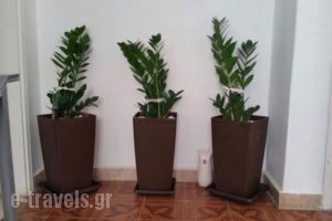 Avra Rooms_lowest prices_in_Room_Dodekanessos Islands_Leros_Laki