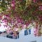 Yiannis Studios_holidays_in_Hotel_Cyclades Islands_Paros_Piso Livadi