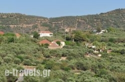 Eirini Villa_s __2