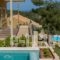 Ionian Vista_best prices_in_Hotel_Ionian Islands_Kefalonia_Argostoli