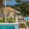 Ionian Vista_best prices_in_Hotel_Ionian Islands_Kefalonia_Argostoli