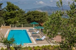 Ionian Vista_lowest prices_in_Hotel_Ionian Islands_Kefalonia_Argostoli