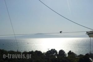 Villa Teo_lowest prices_in_Villa_Thessaly_Magnesia_Pilio Area