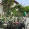 Villa Maria_best prices_in_Villa_Thessaly_Magnesia_Pilio Area