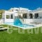 Villa Eolia_best deals_Villa_Crete_Rethymnon_Mylopotamos