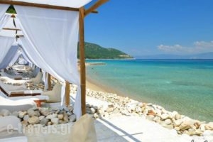 Kohylia beach hotel_best deals_Hotel_Aegean Islands_Thasos_Thasos Chora