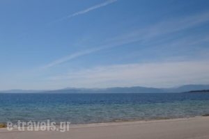 Aggeliko Studios_lowest prices_in_Hotel_Central Greece_Evia_Edipsos