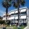 Aggeliko Studios_accommodation_in_Hotel_Central Greece_Evia_Edipsos