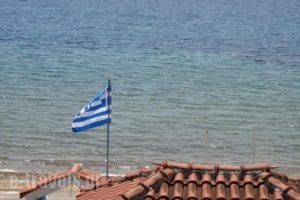 Aggeliko Studios_best prices_in_Hotel_Central Greece_Evia_Edipsos